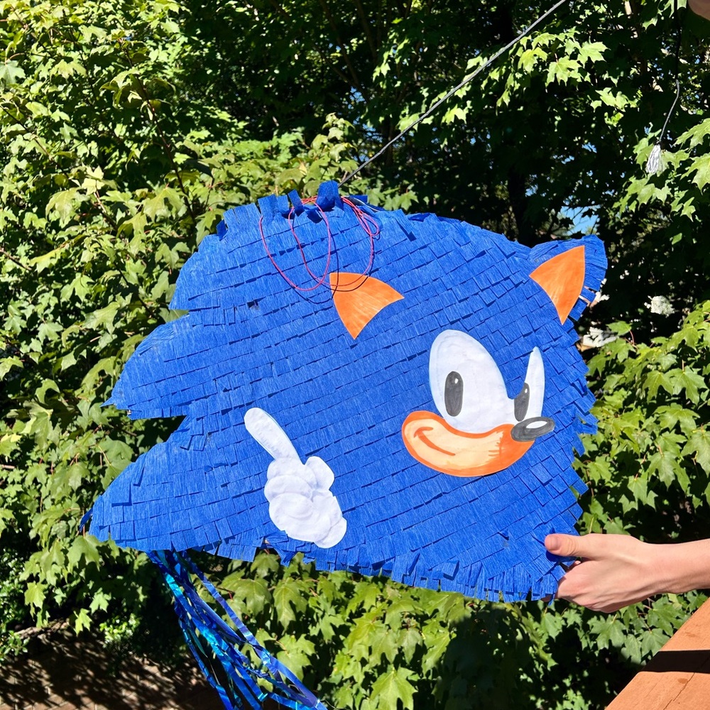 Sonic Piñata for your birthday party boys gift girls